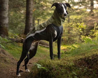 Whippet Softshell Jacket - Jumper for Greyhound, Saluki, Podenco, Lurcher, Italian Greyhound - With zippers - Dark green - 8 sizes available