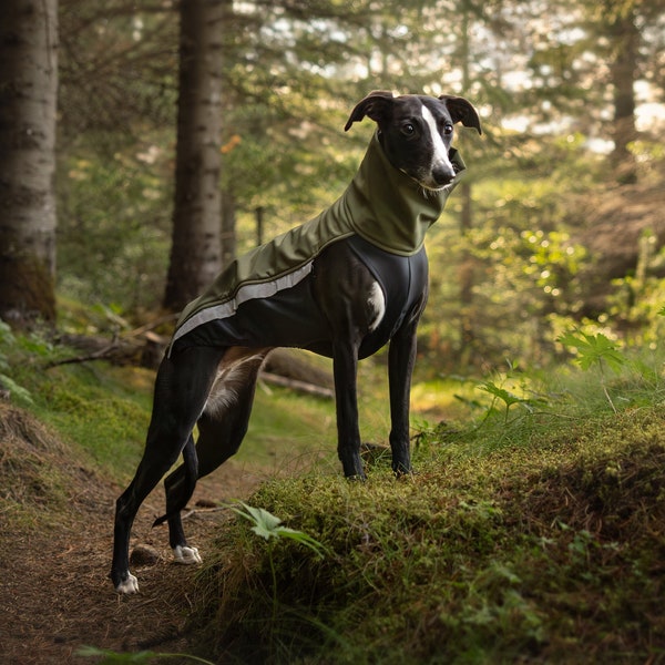 Whippet Softshell Jacket - Jumper for Greyhound, Saluki, Podenco, Lurcher, Italian Greyhound - With zippers - Dark green - 8 sizes available