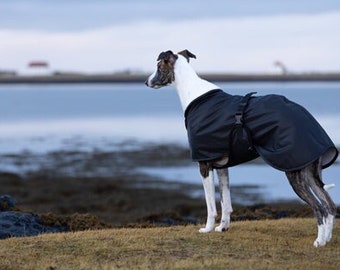 Greyhound Winter Coat - Whippet Wintercoat - 9 sizes available - Extra warm winter dog coat - Black