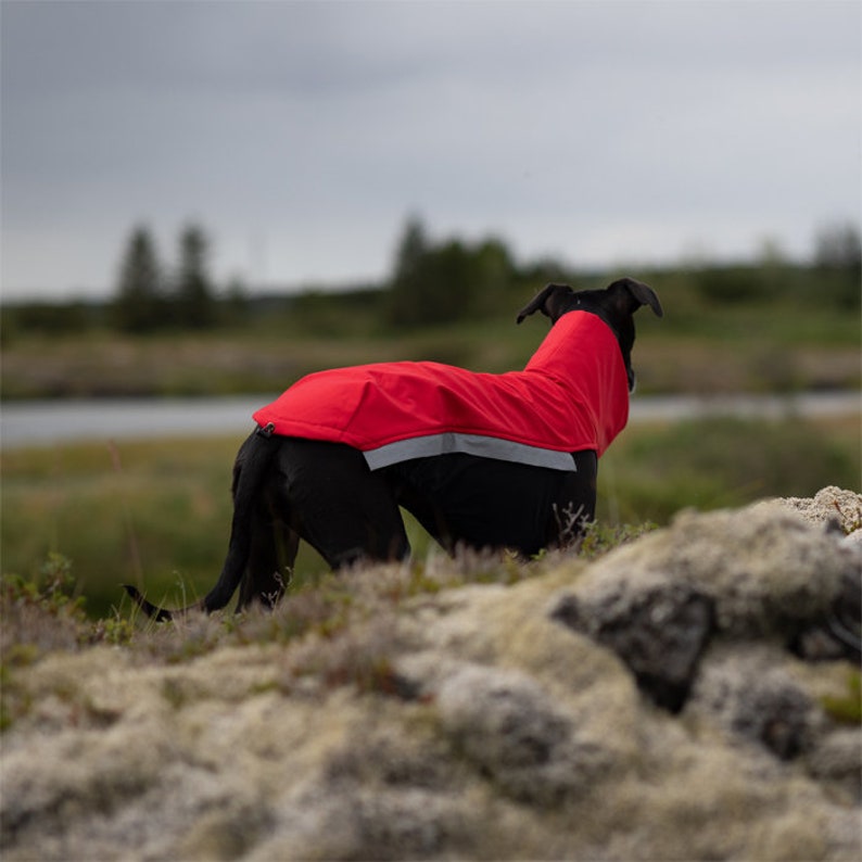 Whippet Softshell Jacket Jumper for Greyhound, Saluki, Podenco, Lurcher, Italian Greyhound With zippers Red 8 sizes available image 3