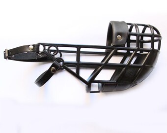 greyhound box muzzle