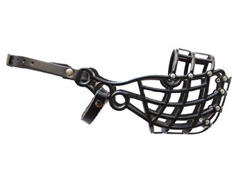 how do you feed a bearded dragon