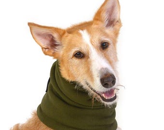 Green fleece Snood - Dark green - Snood for Whippet, Saluki, Podenco, Galgo, Italian Greyhound - 3 sizes available