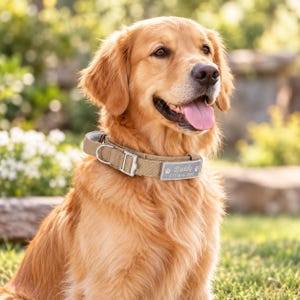Personalized Tactical Dog Collar, Custom Reflective Name ID Patch, Lightweight Training Equipment Collar with Handle for Medium Large Dogs