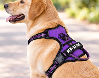 May include: A golden-colored dog wearing a purple dog harness with black trim and reflective stitching. The harness features a prominent black patch with the white text SERVICE DOG and includes a sturdy black plastic buckle and a metal D-ring.
