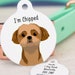 see more listings in the Dog ID Tags -  by breed section