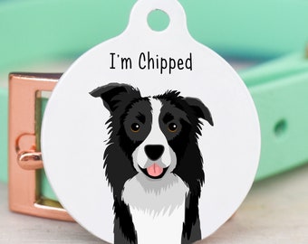 Dog Tag for Border Collie Dogs