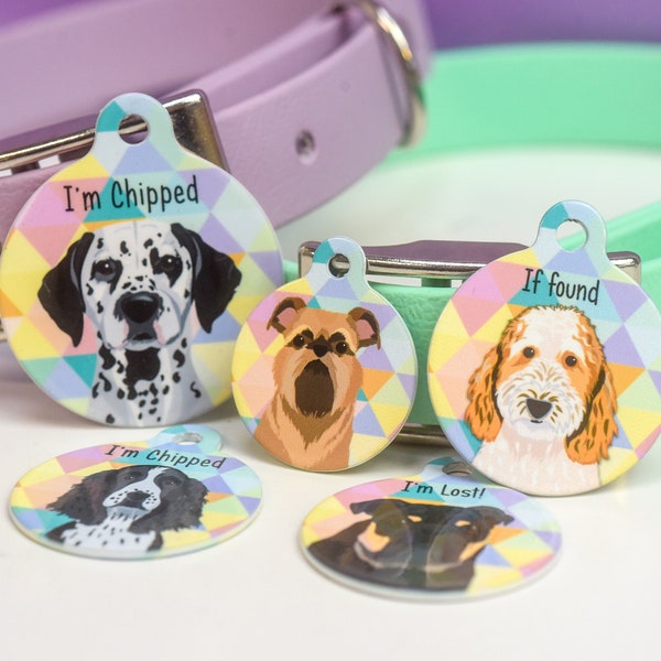 Targhetta identificativa per cani Harlequin Targhette per animali illustrate personalizzate Targhette identificative colorate personalizzate per cani Targhette identificative per cani impermeabili per esterni stampate personalizzate
