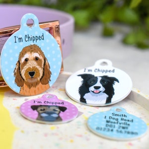 Médaille pour chien, médailles illustrées personnalisées pour collier de chien Médaille d'identité illustrée personnalisée pour chien Médaille imperméable extérieure pour chien Médaille personnalisée pour animal de compagnie