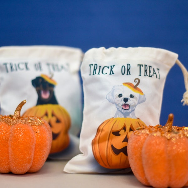 Sac de friandises pour chiens d’Halloween avec chien citrouille illustré, pochette de friandises effrayantes personnalisée pour friandises pour chiens