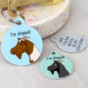 Goat Name Tag Collar ID tag for pet farm animals Custom Pygmy Goat
