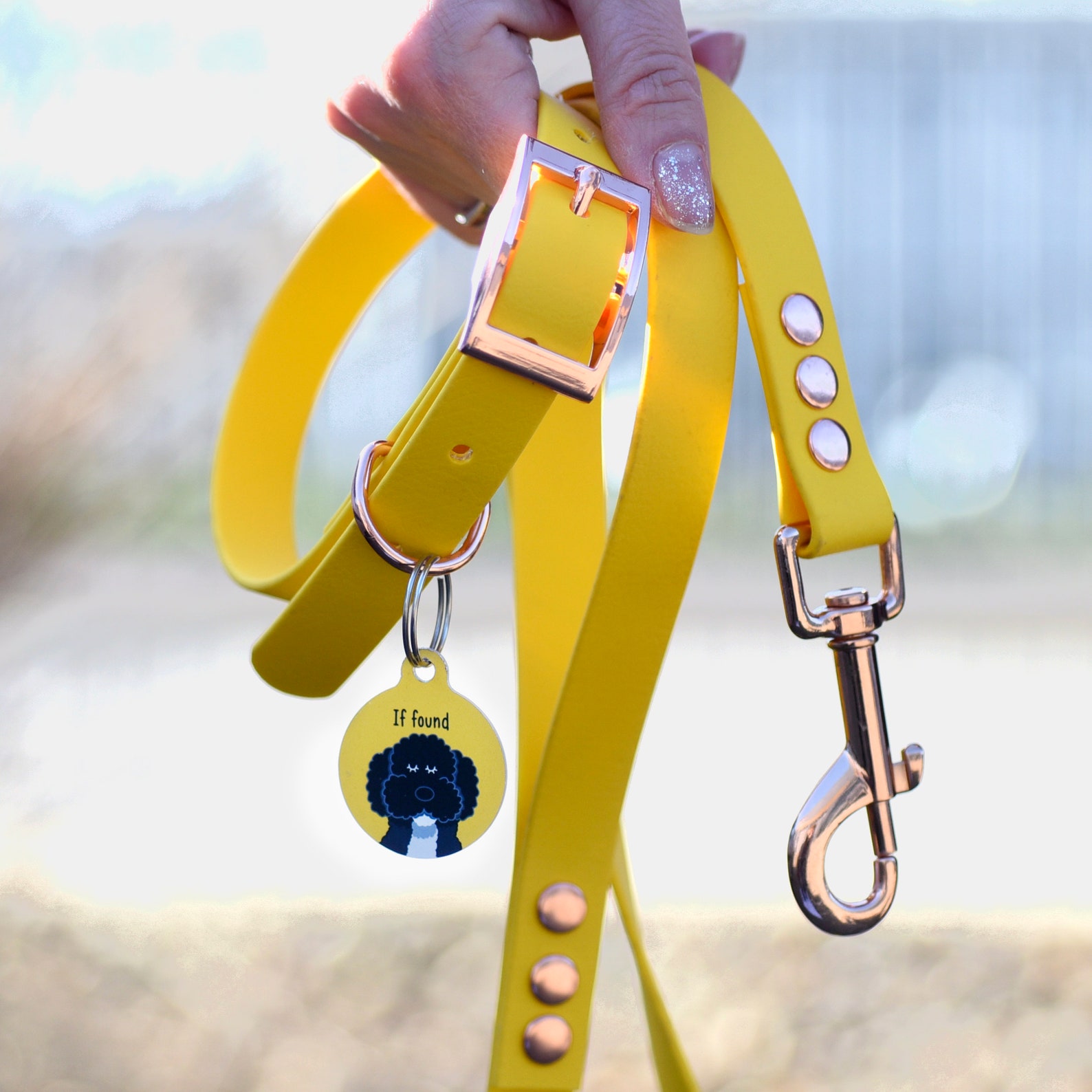 Stunning Yellow Dog Collar Lead and Personalised ID Tag Etsy
