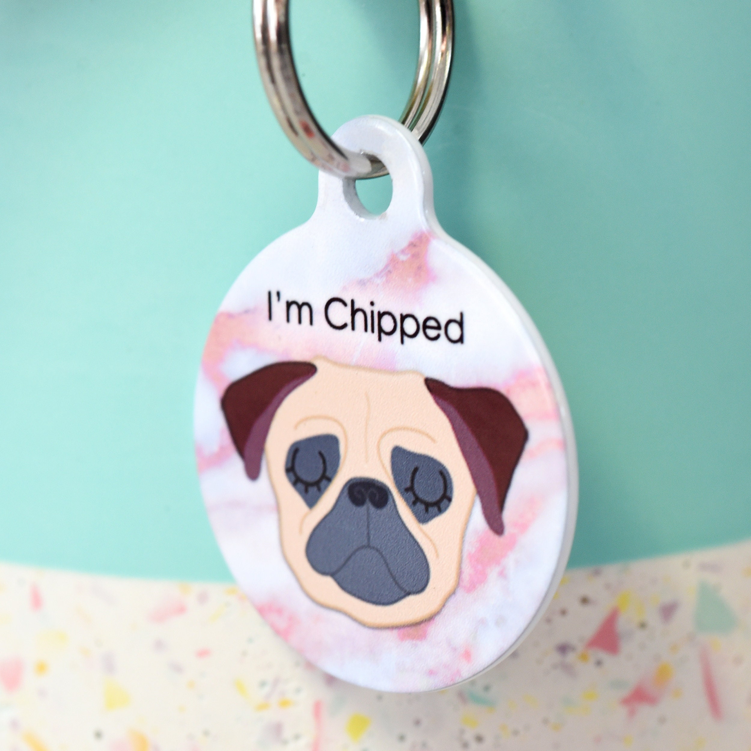 How Did Pugs Get Their Name