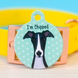 May include: Round dog tag with a green and white polka dot background. A black and white cartoon Greyhound dog is in the center of the tag. The text "I'm Chipped" is printed in black at the top of the tag.