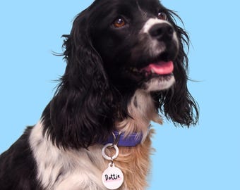 Custom Pet Tag Pastel Minimalist Name Tag for Dog Collars