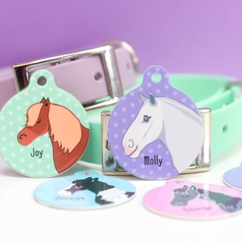 May include: Five colorful round pet ID tags with horse illustrations and names. The tags are Joy, Molly, Omega, Scout, and Sunny. The tags are attached to a green and purple dog collar.