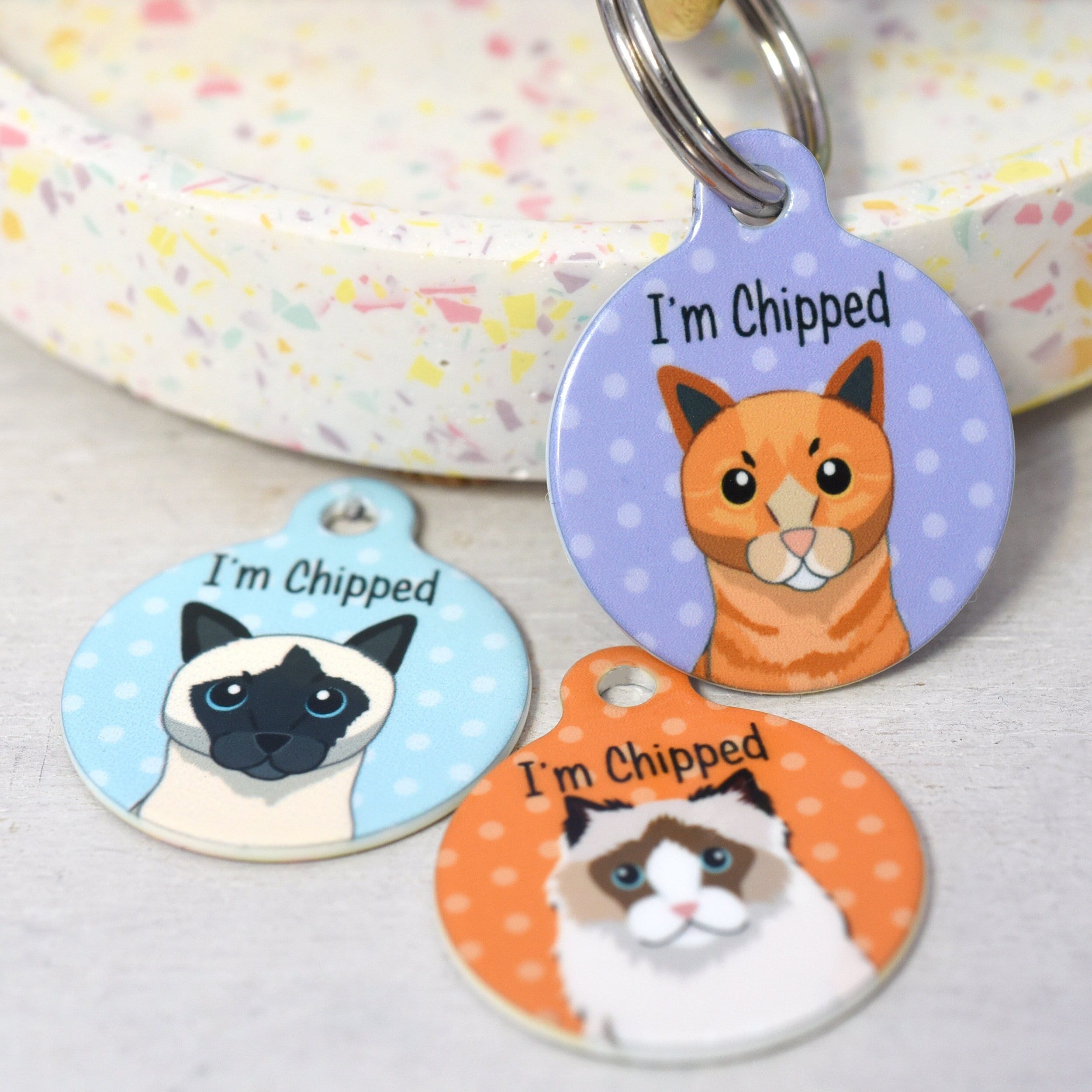 personalised cat tag