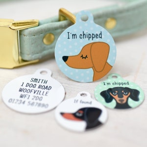 May include: A collection of dog tags with various designs. One tag features a brown dachshund illustration with the text "I'm chipped" on a blue polka dot background. Another tag displays contact information. The tags are attached to a light blue dog collar.