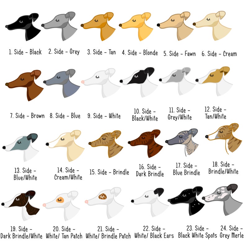 May include: Illustration of 24 different colored and patterned Greyhound dogs. Each dog is shown from the side with its head turned slightly to the right. The dogs are labeled with numbers and descriptions of their color and pattern.