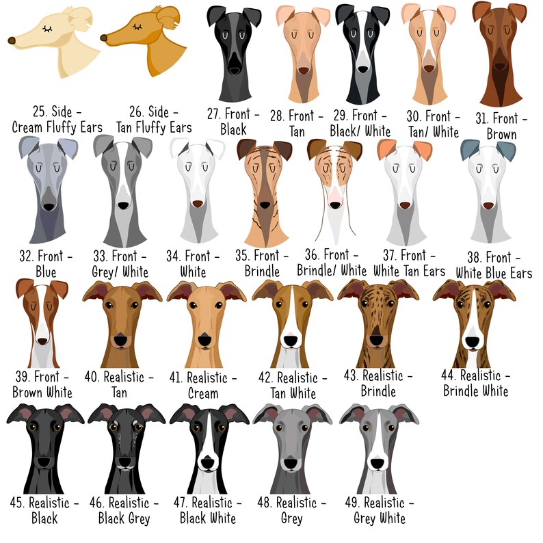May include: A chart of 49 different Greyhound dog illustrations. Each illustration shows a different color combination and pose of the dog. The illustrations are labeled with numbers and descriptions of the color combinations and poses.