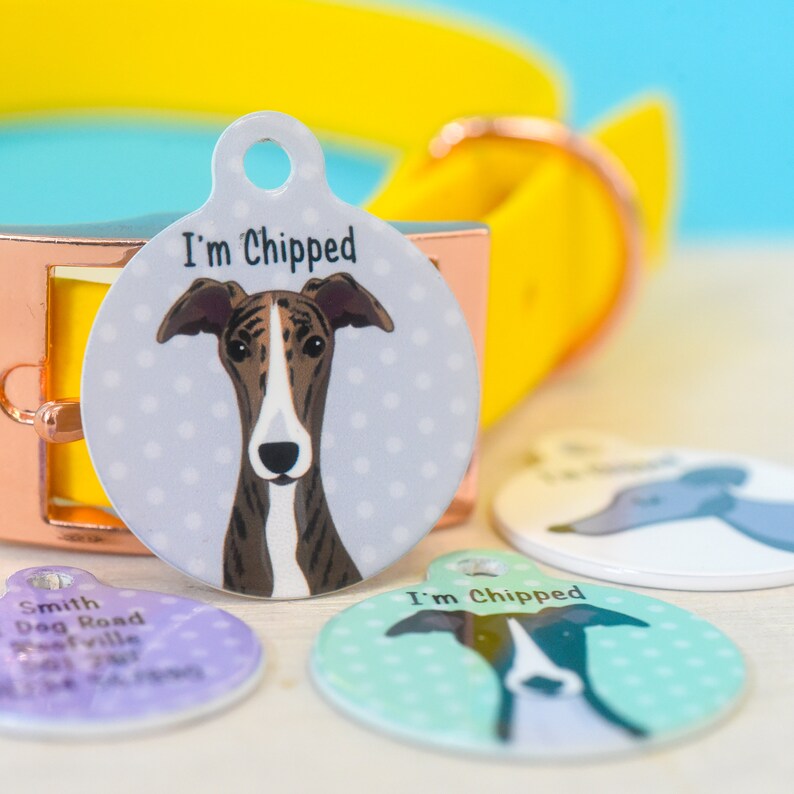 May include: A set of three round dog tags with a white background and colorful polka dots. The tags feature a cartoon illustration of a greyhound dog with the text "I'm Chipped" on two of the tags. One tag has a purple background, one has a green background, and one has a light blue background.