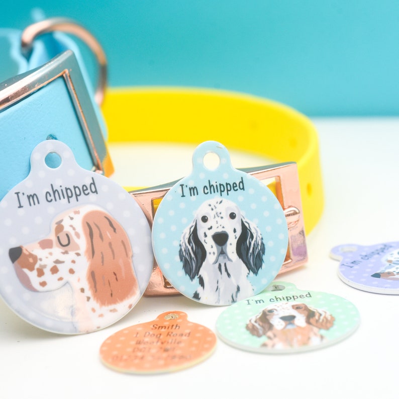 English Setter pet tag dog tags for dogs pet id tag dog id tag dog collar tag personalized dog tag dog name tags image 5