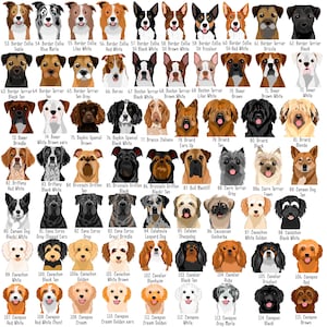 May include: A collection of 115 dog breed illustrations, each with a unique appearance. Breeds include Border Collies, Boxers, Cavaliers, and more. The dogs are depicted in various colors and markings, such as black, white, brown, and tan.