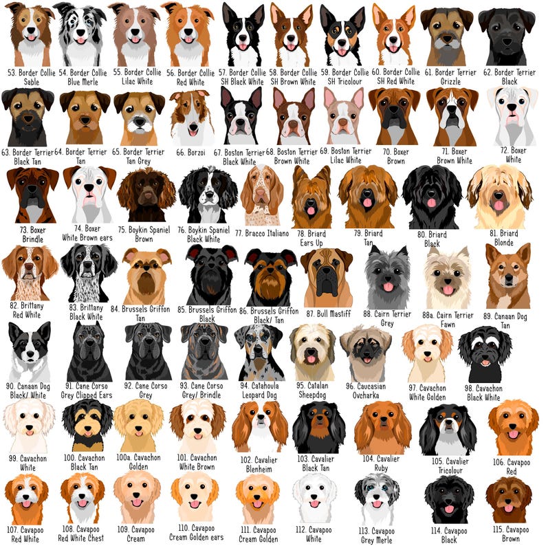 May include: A collection of 115 dog breed illustrations, each with a unique appearance. Breeds include Border Collies, Boxers, Cavaliers, and more. The dogs are depicted in various colors and markings, such as black, white, brown, and tan.