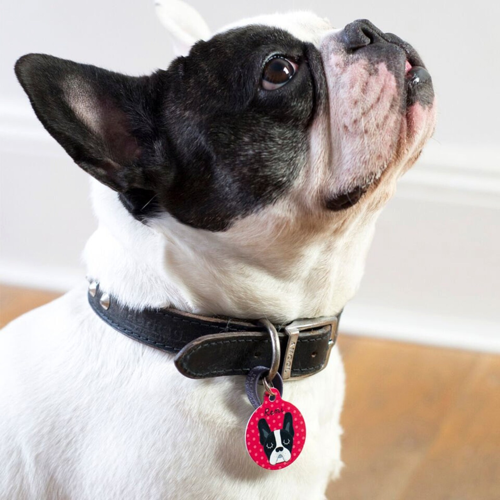 Dog ID Tags French Bulldog ID Tags Frenchie Dog Tag Etsy