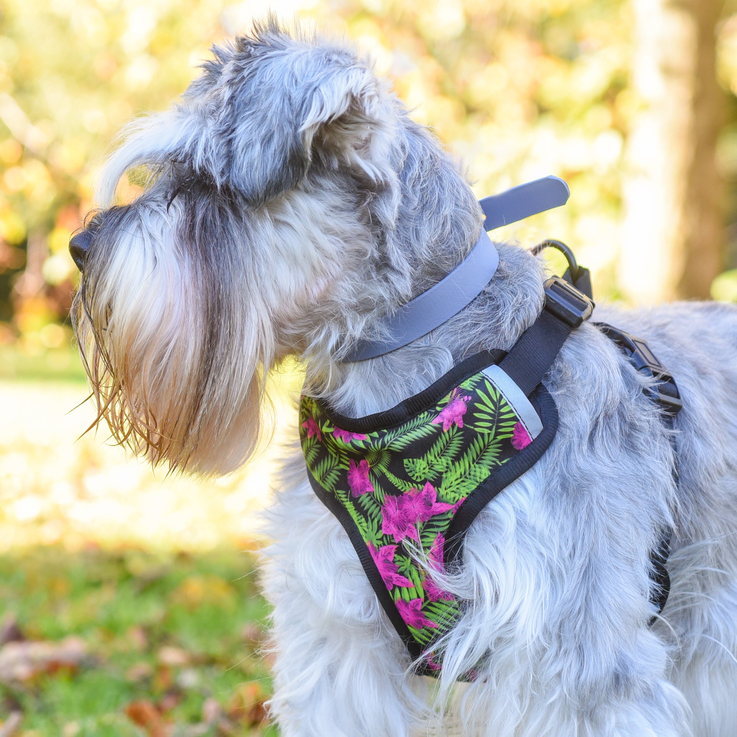 large dog harness pink