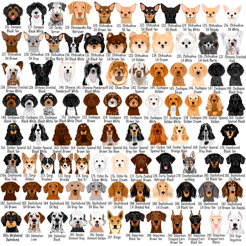 May include: A collection of dog illustrations, each labeled with a breed name. Breeds include Chihuahua, Cocker Spaniel, Dachshund, and Doberman. The dogs are depicted in various colors and coat patterns, against a white background.