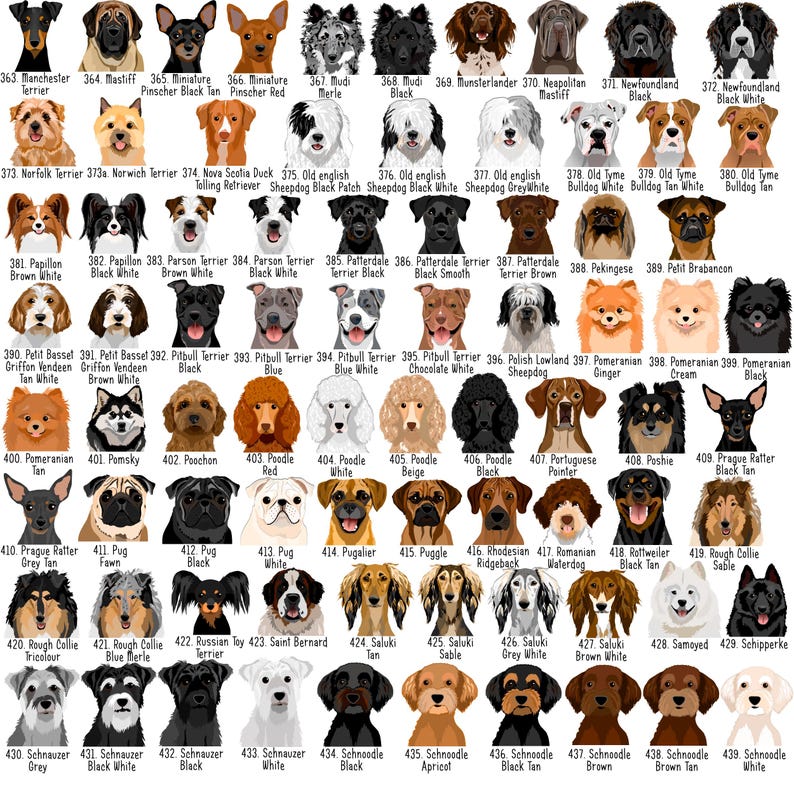 May include: A collection of 77 dog breed illustrations, each labeled with a number and breed name. Breeds include Manchester Terrier, Mastiff, Miniature Pinscher, Poodle, and more. The dogs are depicted in various colors and poses.