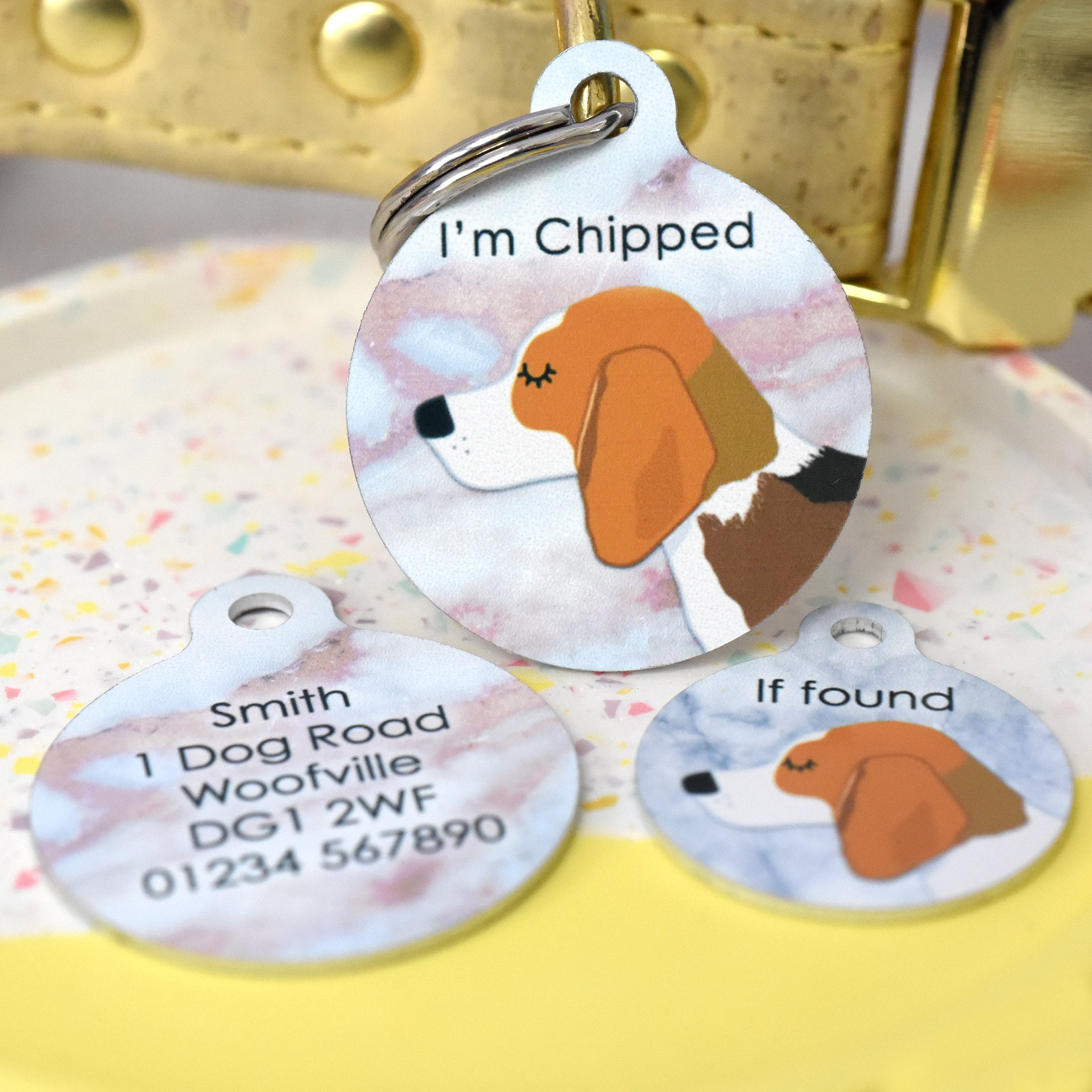 Why Do Dogs Need Tags