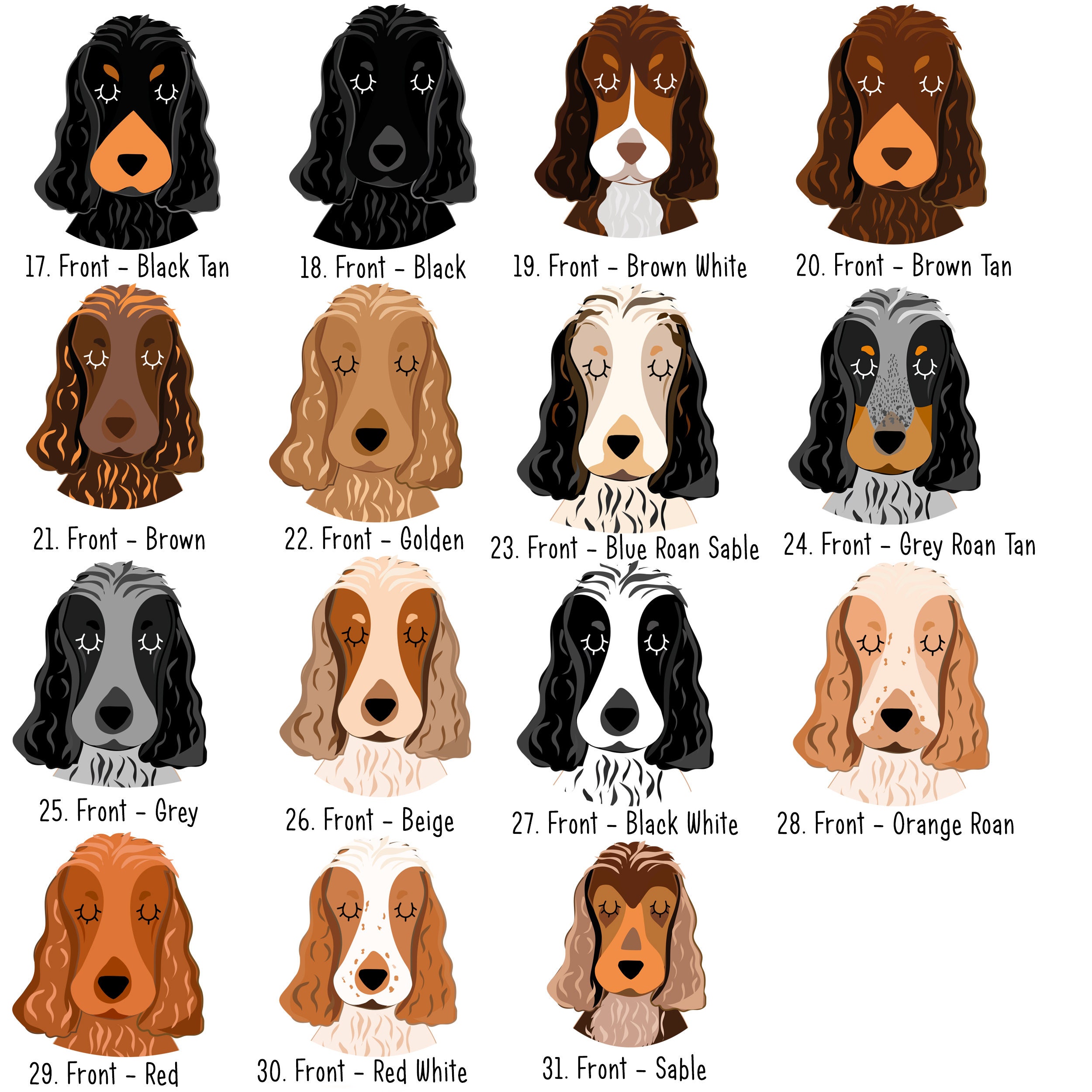 Light Brown And White Cocker Spaniel