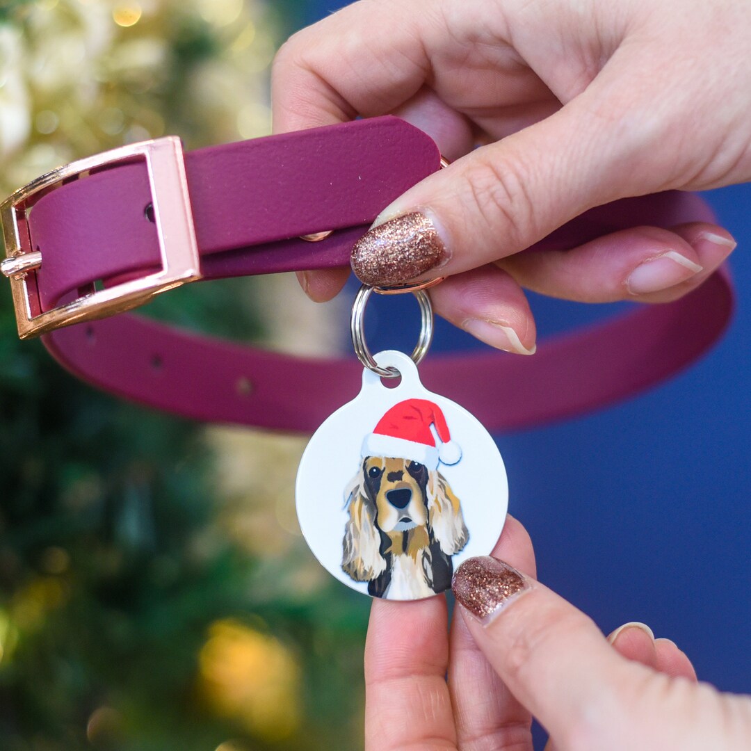 Personalised Christmas Dog Tag With Fully Illustrated Dog Image Wearing