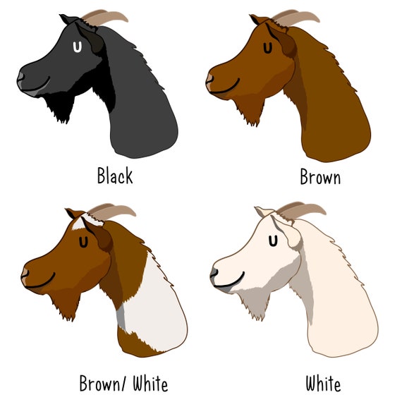 Goat collar name tags 2025