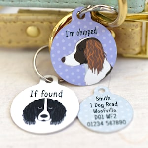 Springer Spaniel Custom Dog Id name Tag Polka Dot Circle