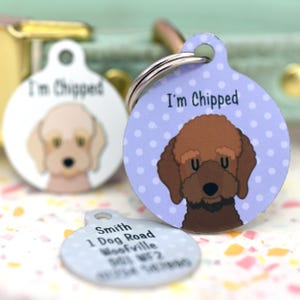 May include: Two circular pet ID tags featuring illustrations of dogs. One tag is light blue with white polka dots and a brown dog, the other is white with a light tan dog. Both tags display the text I'm Chipped. A third tag shows contact information.