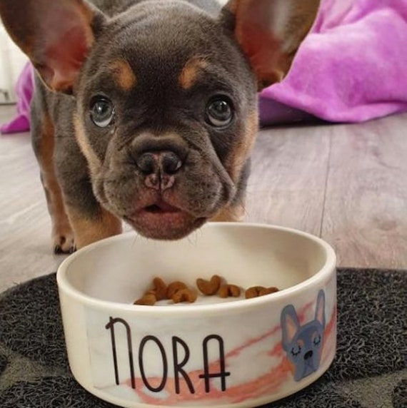 french bulldog food bowl