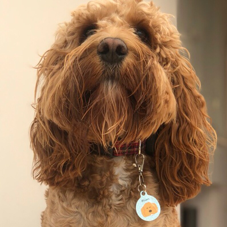 Cockapoo Dog ID Tag Labradoodle Cockapoo Collar Charm Etsy