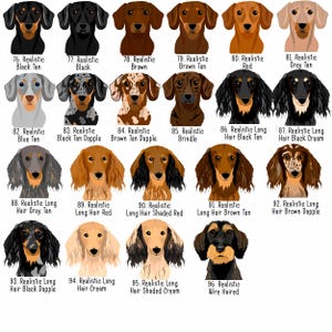 May include: A collection of dachshund dog illustrations in various colors and coat patterns. Each dog is labeled with a number and a description, including "Black Tan," "Brown," "Red," and "Wire Haired."