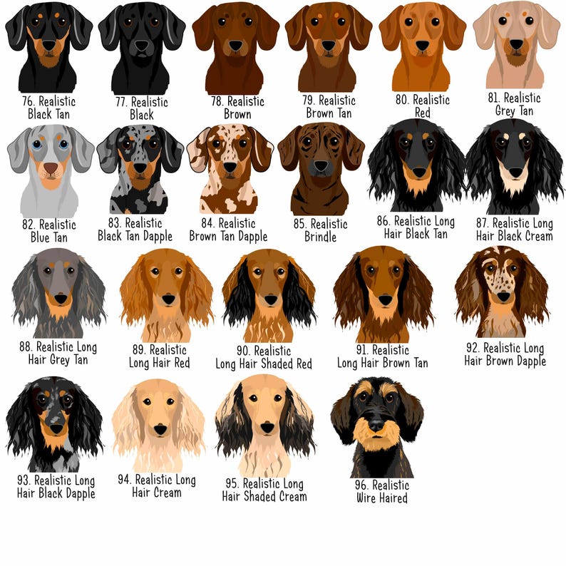May include: A collection of dachshund dog illustrations in various colors and coat patterns. Each dog is labeled with a number and a description, including "Black Tan," "Brown," "Red," and "Wire Haired."
