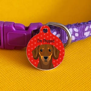 May include: A round pet ID tag featuring a brown dachshund illustration on a red background with white polka dots and the text I'm Chipped, attached to a purple collar with a white paw print pattern and a purple plastic buckle closure.