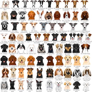 May include: A grid of dog breed illustrations, each labeled with the breed name and number. Breeds include Great Pyrenees, Greyhound, Havanese, Irish Wolfhound, and Labrador, among others. The dogs are depicted in various colors and poses.
