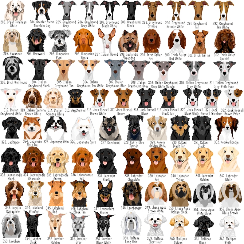 May include: A grid of dog breed illustrations, each labeled with the breed name and number. Breeds include Great Pyrenees, Greyhound, Havanese, Irish Wolfhound, and Labrador, among others. The dogs are depicted in various colors and poses.