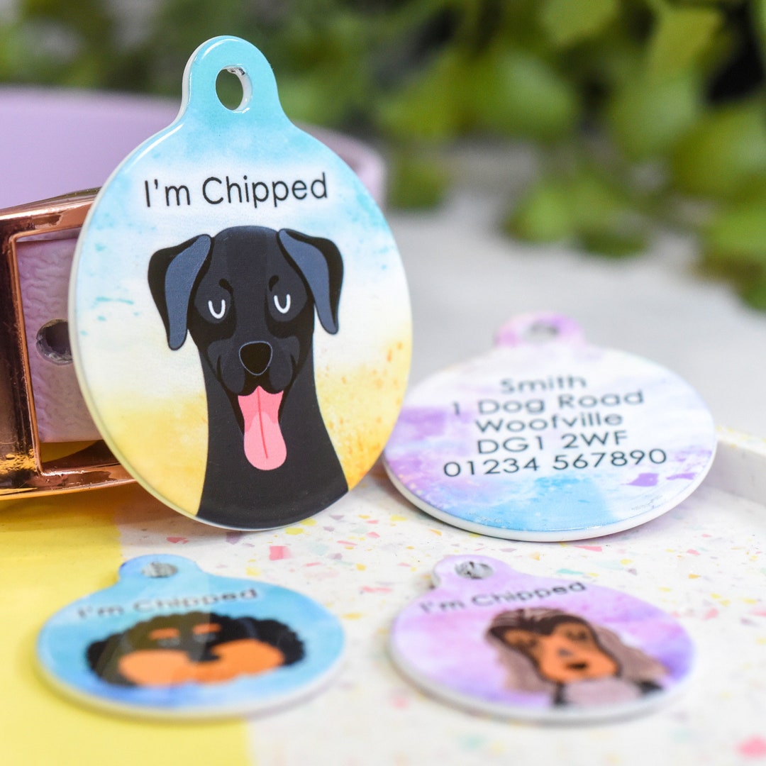 Summer Dog Id Tags Dog Tags for Dogs Pet Id Tag Dog Id Tag Dog Collar