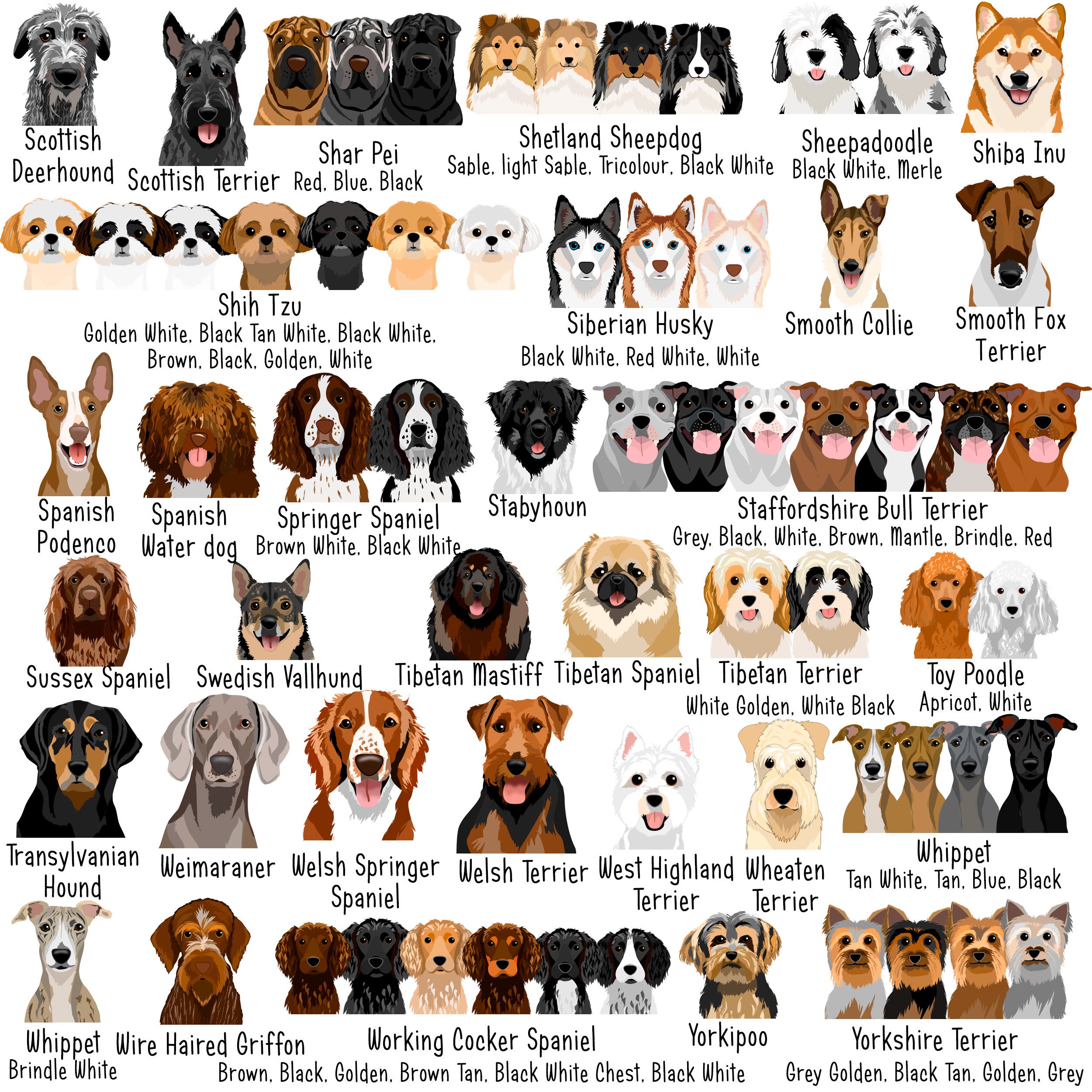 Custom Illustrated Dog Tag Personalised Colourful ID Tags for - Etsy