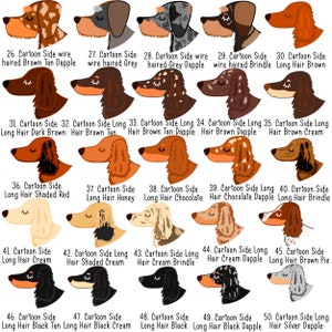 May include: A collection of 25 cartoon illustrations of dachshund dogs in various colors and coat patterns. Each dog is shown in profile with text labels indicating the coat type and color variations, such as brindle, dapple, and cream.