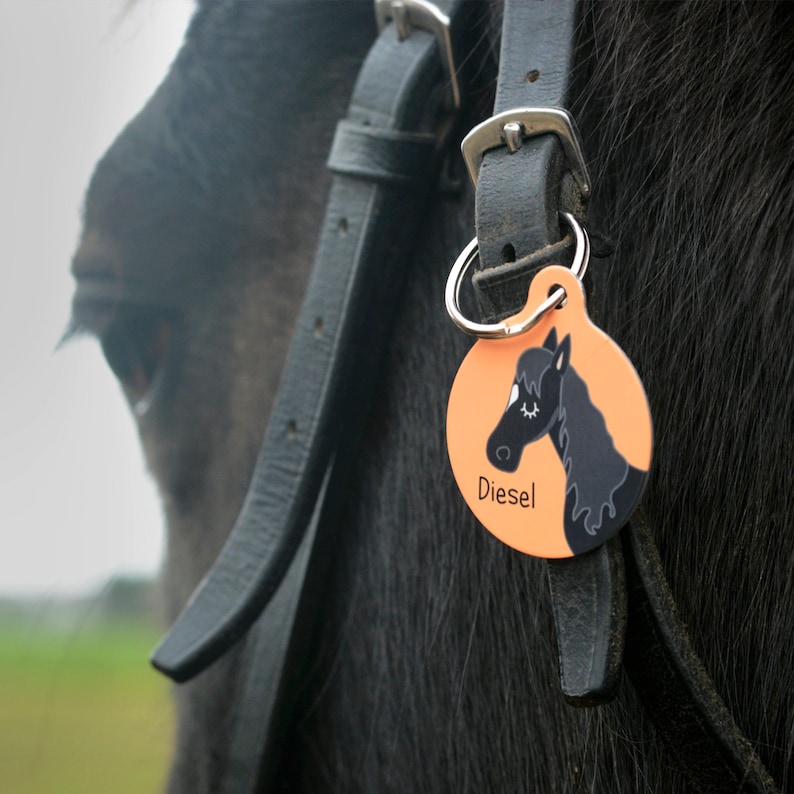 May include: A black horse with a leather halter and a bright orange tag that says "Diesel" with a cartoon horse illustration.