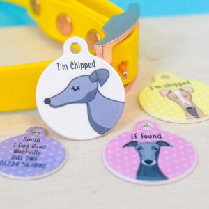 May include: Three round dog tags with different designs. The first tag is white with a grey dog silhouette and the text "I'm Chipped". The second tag is purple with white polka dots and the text "Smith 1 Dog Road Woolfville D01 2WF 01234 567890". The third tag is pink with white polka dots and the text "If found".